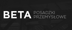 Strona www Posadzki betonowe BETA SYSTEM